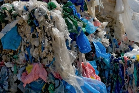 Plastic Bag Bans Continue to Grow in Popularity
