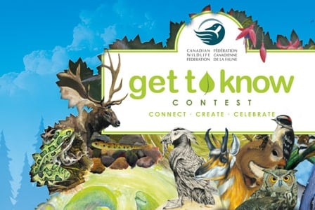 Get to Know Your Wild Neighbours with Robert Bateman Contest
