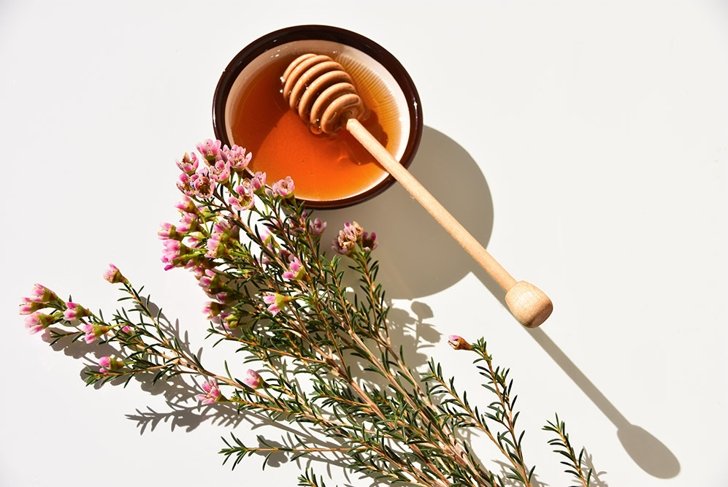 Pink manuka tree flower and manuka honey in a bowl, on a white background. Close up.