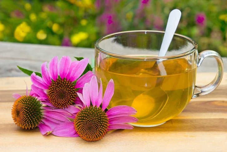 Cup of herbal tea from echinacea used in alternative medicine a an immun sytem booster.